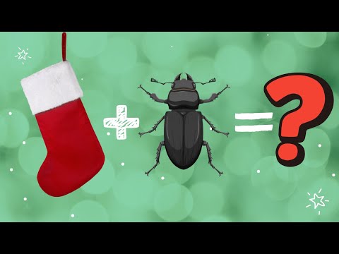 Видео: Можно ли сделать рождественский чулок в виде жука?