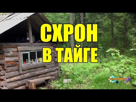 Видео: СХРОН И МЕДВЕДЬ | ЖИЗНЬ В ТАЙГЕ