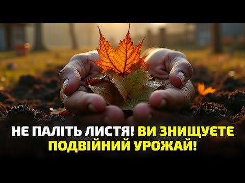 Видео: Листя замість перегною?! Те, що знали наші діди, тепер забороняють!