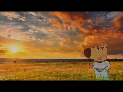 Видео: ТИК ТОК | МЕМЫ | (ЧАСТЬ 19)