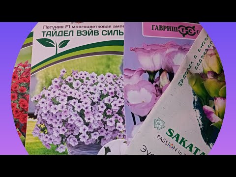 Видео: 🌺Что посеять в ноябре?Почему так рано?🌺