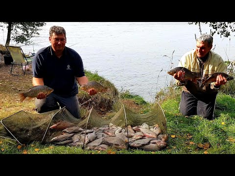 Видео: Жор Леща. Лучшая Рыбалка с Ночёвкой в Сезоне. Лещ и Карась на Фидер. Чигиринское водохранилище.