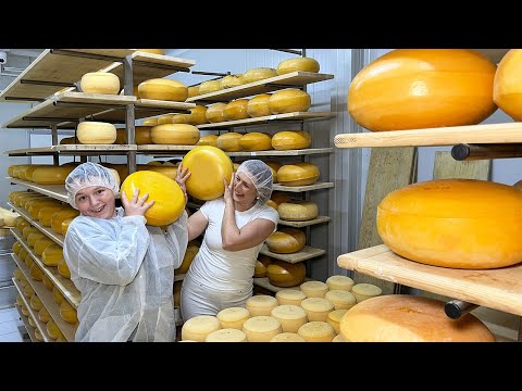 Видео: ЭТА СЕМЬЯ ОТКРЫЛА СОБСТВЕННЫЙ БИЗНЕС ПО ПРОИЗВОДСТВУ СЫРА!