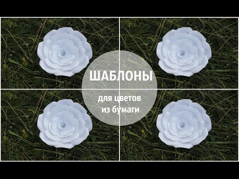 Видео: Шаблоны для больших цветов из бумаги I SILK. Dekor. Foto