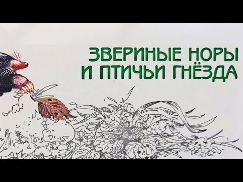Видео: Звериные норы и птичьи гнёзда. Великан на поляне