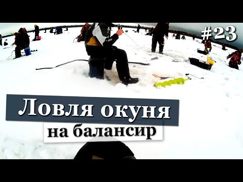 Видео: Ловля крупного окуня на балансир в толпе. Рыбалка зимой по первому льду. Зимняя рыбалка Свирь 2016.