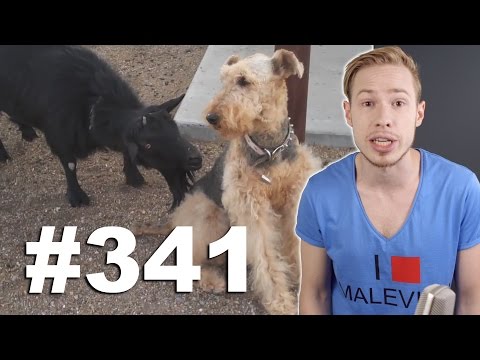 Видео: This is Хорошо - Головой в бидон. v:{