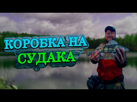 Видео: НА ЧТО ПОЙМАТЬ СУДАКА С БЕРЕГА?КАК собрать КОРОБКУ СИЛИКОНОВЫХ приманок для ловли КРУПНОЙ РЫБЫ!