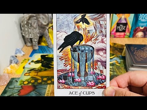 Видео: СТРЕЛЕЦ: САМЫЕ УДИВИТЕЛЬНЫЕ НОВОСТИ! ВАУ! Сейчас всё поднимется с 0% до 100% 🌹🌈✨