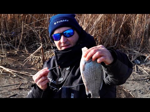 Видео: Ловля КРУПНОГО КАРАСЯ на фидер зимой