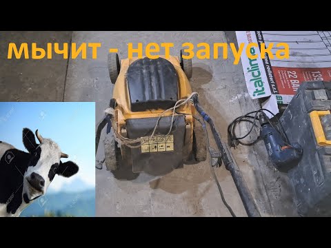 Видео: Электрическая газонокосилка гудит но нет запуска - ремонт