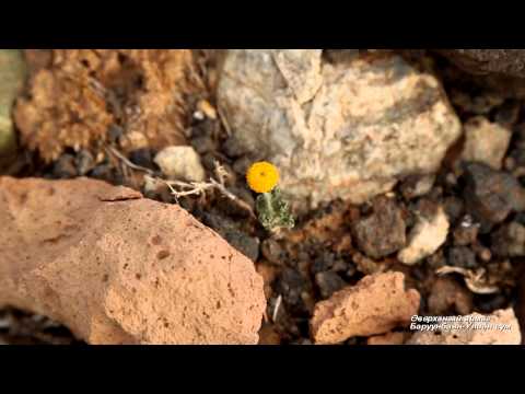 Видео: Баруунбаян Улаан сумын байгалийн дүрслэл