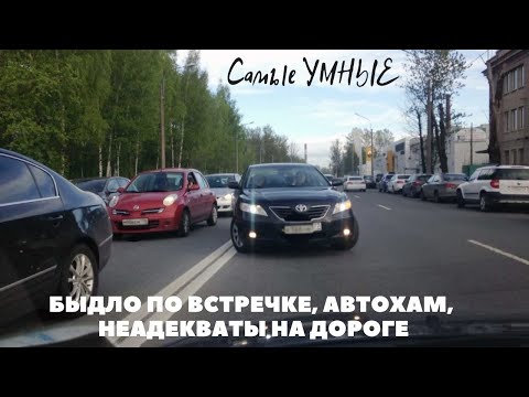 Видео: БЫДЛО ПО ВСТРЕЧКЕ, АВТОХАМ, НЕАДЕКВАТЫ НА ДОРОГЕ