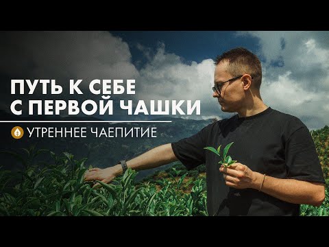Видео: Как обрести спокойствие | Стрим Art of Tea