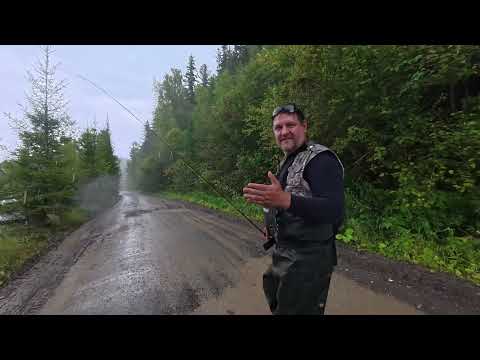 Видео: Жержул. Продолжение клёва