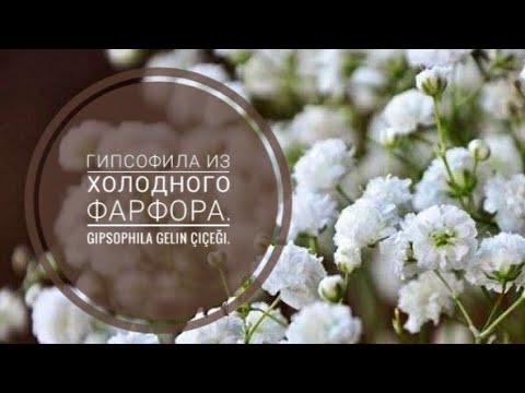 Видео: Гипсофила, холодный фарфор. Gypsophila DIY cold porcelain.  Gipso gelin çiçeği,soğuk porselen.