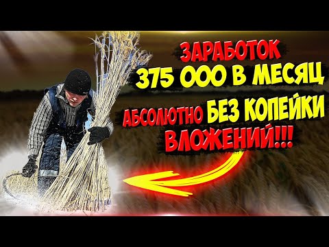 Видео: 375 000 рублей за машину камыша в месяц без копейки вложений ч 25