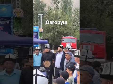Видео: Лейлек. Озгоруш айылы. 16.08. 25. Лейлек курошу.