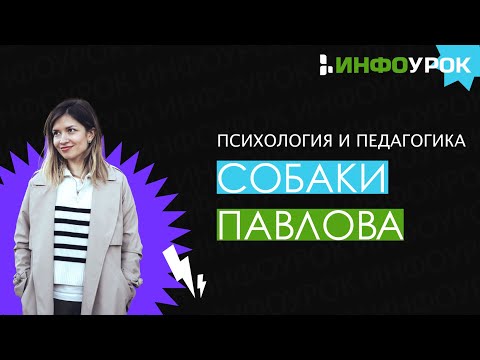 Видео: Классическое обусловливание и собаки Павлова