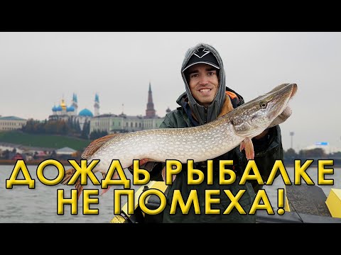 Видео: Поймал очень страшную рыбу! Рыбалка с лодки в центре Казани.