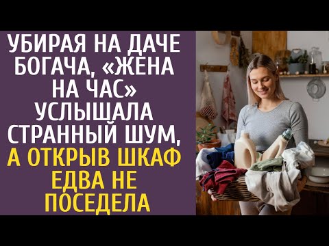 Видео: Убирая на даче богача, «жена на час» услышала странный шум, а открыв шкаф едва не поседела