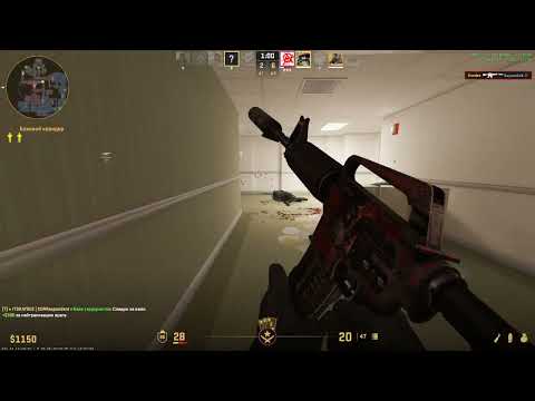 Видео: COUNTER-STRIKE 2 - КРОКОДИЛЫ БЕГЕМОТЫ!