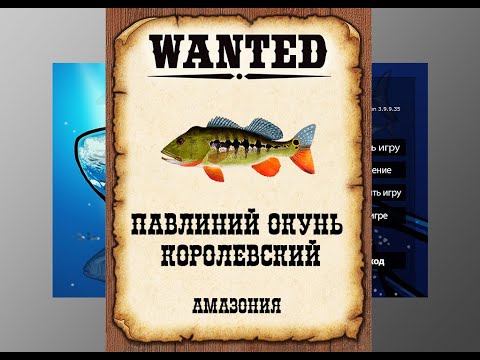 Видео: Ловим редкости в РР3. Павлиний окунь королевский.