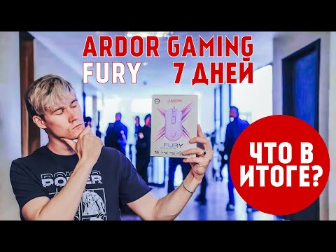 Видео: Неделя жизни с ARDOR GAMING Fury. Бюджетная игровая мышь. Обзор и впечатление.