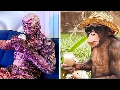 Видео: Фото, которые тебя удивят (112 часть)