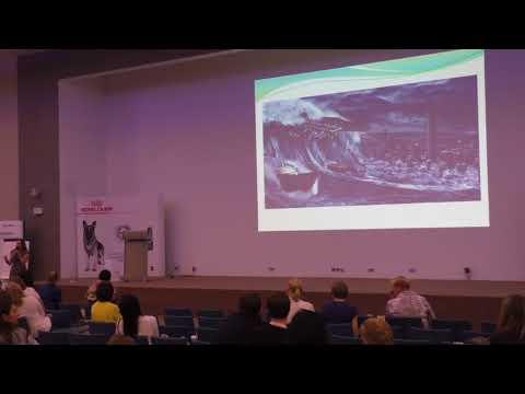 Видео: Вирусная лейкемия кошек (часть 4). Подходы к терапии (Н.А. Рахманина)