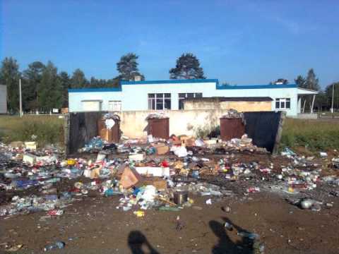 Видео: Соломенные еноты - Кровь тополей