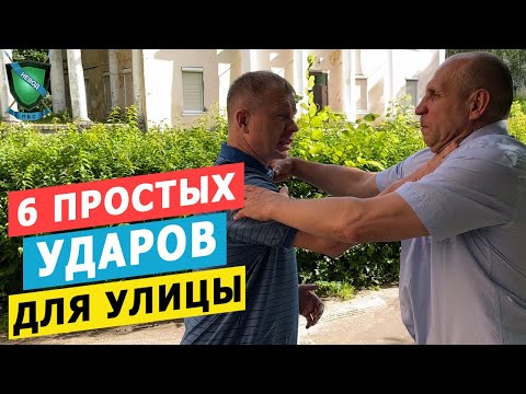 Видео: 6 ЭФФЕКТИВНЫХ УДАРОВ для УЛИЦЫ || Михаил Стёпырев || Система НЕВОД #невод #удары #стёпырев