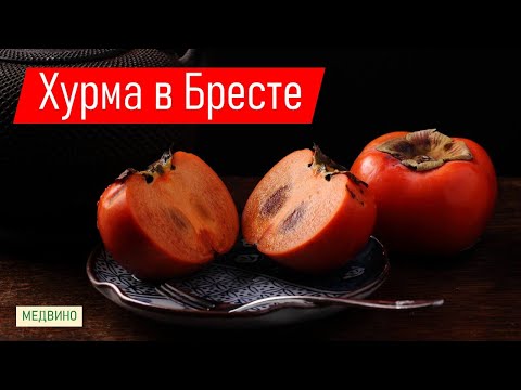 Видео: Опыт выращивания хурмы в Беларуси