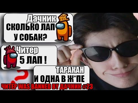 Видео: БАНДА САМЫХ ТУПЫХ ЧИТЕРОВ В АМОНГ АС