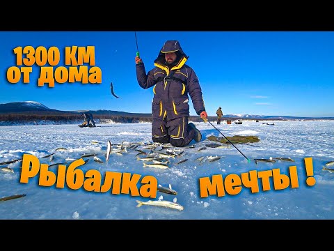 Видео: Ловля корюшки. Рыбалка мечты! 1300 км от дома. Де-Кастри
