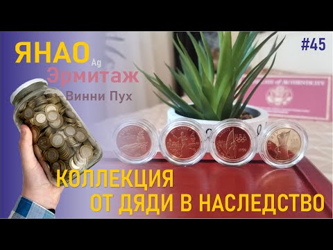 Видео: Коллекция в наследство от дяди / ЧЯП - Пух - Эрмитаж / США уехал #45