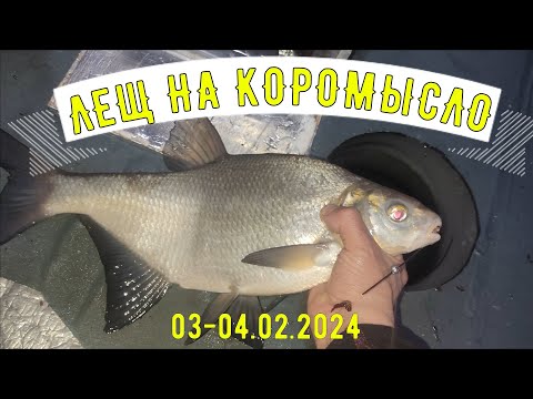 Видео: Ловля леща на коромысло зимой. Рыбалка на Белоярском водохранилище 3-4 февраля 2024г.