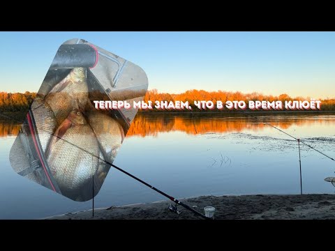 Видео: ПОЧЕМУ мы раньше так НЕ РЫБАЧИЛИ?! Жирная точка в сезоне.