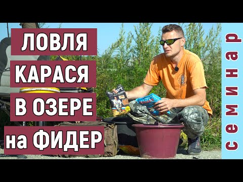 Видео: Ловля карася в озере на фидер. Семинар.