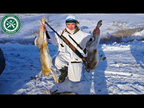 Видео: О ТАКОЙ ОХОТЕ МЕЧТАЕТ КАЖДЫЙ ! Открытие охоты на зайца 2023