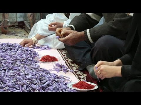 Видео: Шафран - "красное золото" Ирана - economy