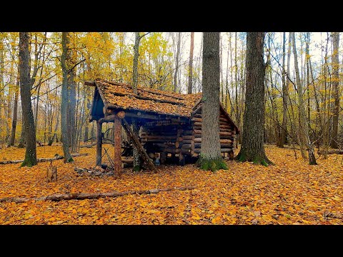 Видео: 24 часа жизни в лесу. Строительство нового большого бревенчатого дома.