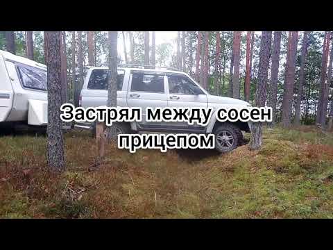 Видео: Патриот прёт-niewiadow терпит.