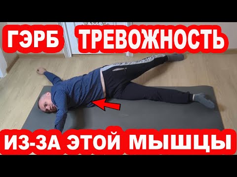 Видео: Эта мышца вызывает ГЭРБ и повышенную ТРЕВОЖНОСТЬ. Как вылечить Рефлюкс, Эзофагит, Изжогу, ГАСТРИТ