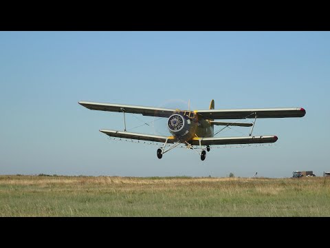 Видео: Ан 2. Взлёт. Работа на полях. Посадка . Ивановка -Август 2019.