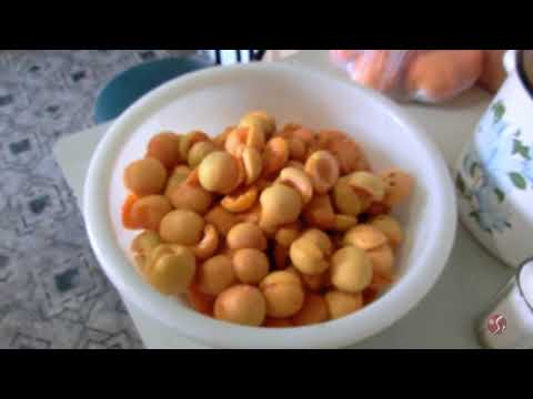 Видео: Куда девать перезревшие абрикосы? Абрикосовый сок