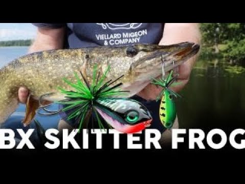 Видео: TOP WATER-ЩУКАРСКИ БРУТАЛНИ АТАКИ НА РАПАЛА ЖАБОК !!! ИЗКЪРТИХ ИМ ЗЪБАЦИТЕ...КАТО НА ФИЛМ ЗА ХОЛИВУТ