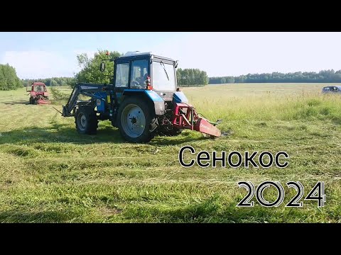 Видео: Сенокос 2024