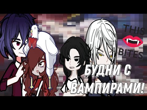 Видео: ТИПИЧНАЯ РОЛЕВАЯ DIABOLIK LOVERS 