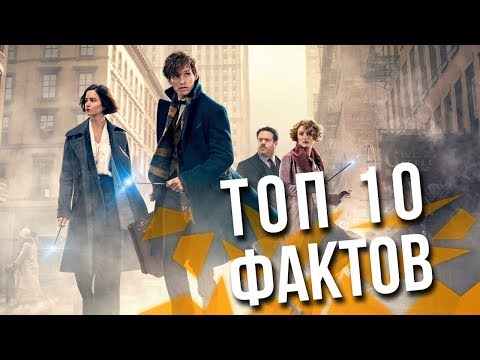 Видео: Интересные Факты про Фантастические Твари и Где Они Обитают